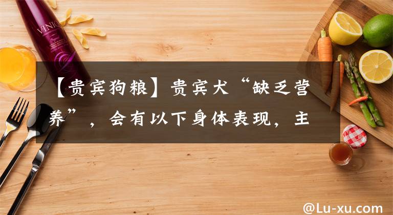 【貴賓狗糧】貴賓犬“缺乏營(yíng)養(yǎng)”，會(huì)有以下身體表現(xiàn)，主人要注意