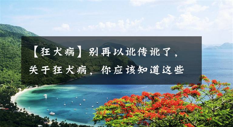 【狂犬病】別再以訛傳訛了，關(guān)于狂犬病，你應(yīng)該知道這些事兒