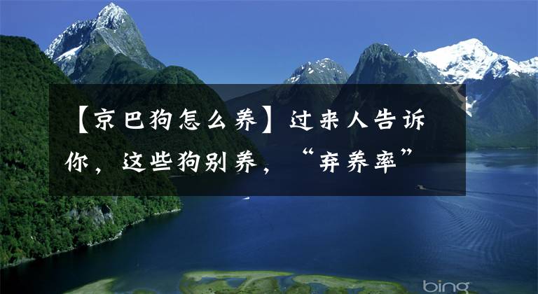 【京巴狗怎么養(yǎng)】過來人告訴你，這些狗別養(yǎng)，“棄養(yǎng)率”太高了