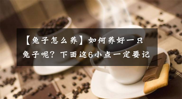 【兔子怎么養(yǎng)】如何養(yǎng)好一只兔子呢？下面這6小點(diǎn)一定要記牢了呀