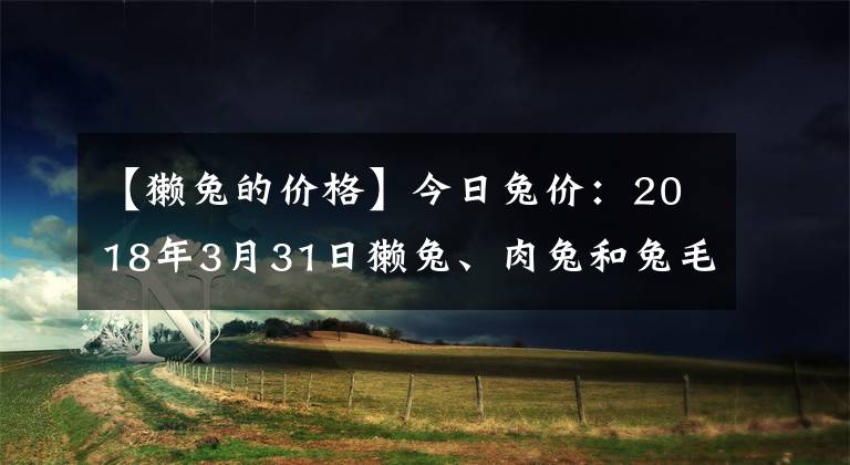 【獺兔的價(jià)格】今日兔價(jià)：2018年3月31日獺兔、肉兔和兔毛價(jià)格行情