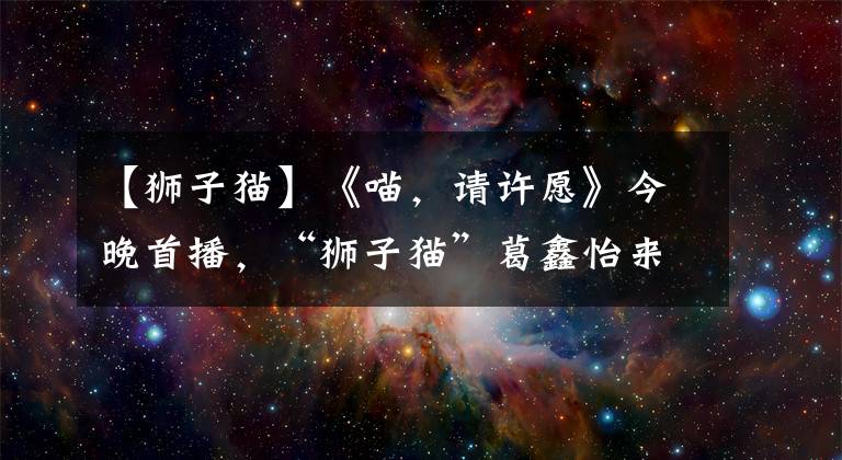 【獅子貓】《喵，請(qǐng)?jiān)S愿》今晚首播，“獅子貓”葛鑫怡來(lái)地球向任宥綸報(bào)恩啦