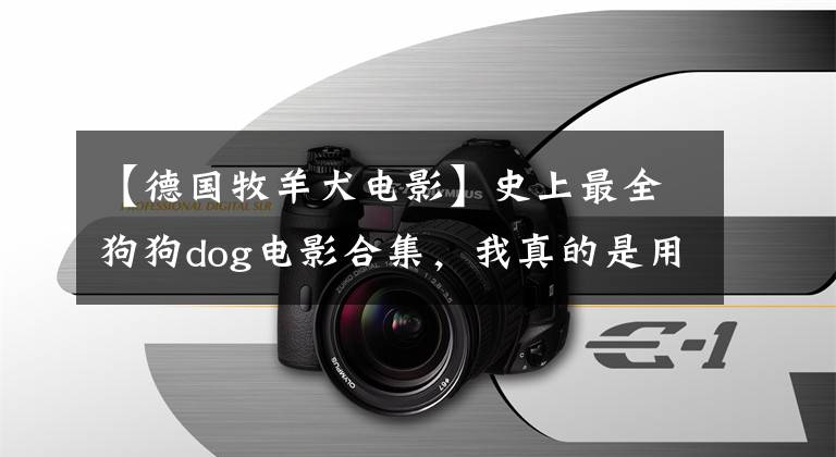 【德國(guó)牧羊犬電影】史上最全狗狗dog電影合集，我真的是用心總結(jié)了，歡迎補(bǔ)充