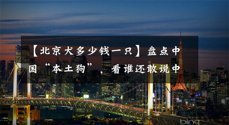 【北京犬多少錢一只】盤點中國“本土狗”，看誰還敢說中國本土沒有品種狗