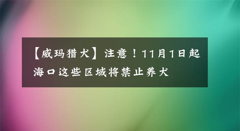 【威瑪獵犬】注意！11月1日起 海口這些區(qū)域?qū)⒔桂B(yǎng)犬