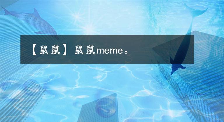 【鼠鼠】鼠鼠meme。