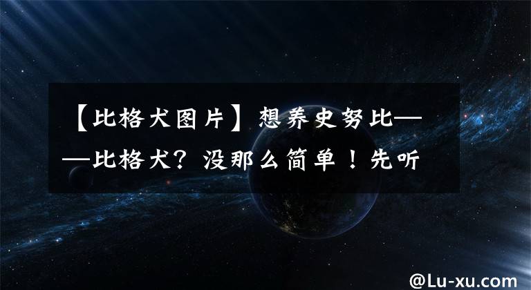 【比格犬圖片】想養(yǎng)史努比——比格犬？沒那么簡單！先聽養(yǎng)過的主人一句勸吧