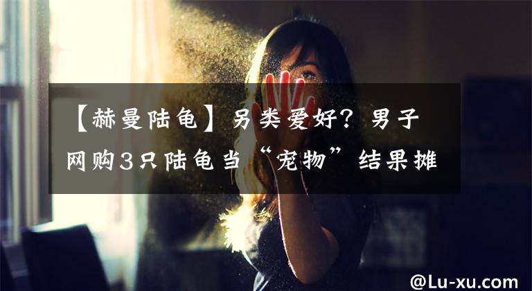 【赫曼陸龜】另類(lèi)愛(ài)好？男子網(wǎng)購(gòu)3只陸龜當(dāng)“寵物”結(jié)果攤上大事了