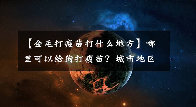 【金毛打疫苗打什么地方】哪里可以給狗打疫苗？城市地區(qū)13個(gè)狂犬病免疫部位的公布