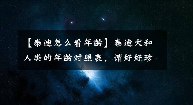 【泰迪怎么看年齡】泰迪犬和人類的年齡對照表，請好好珍惜你的狗