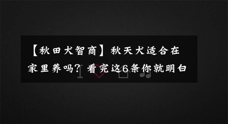 【秋田犬智商】秋天犬適合在家里養(yǎng)嗎？看完這6條你就明白該不該養(yǎng)秋田犬