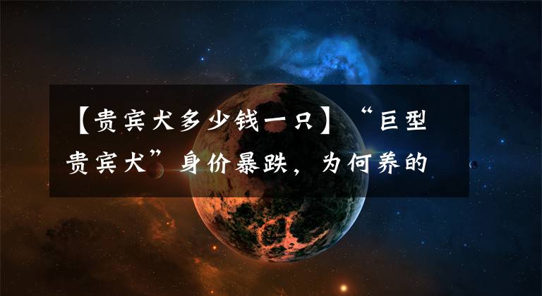 【貴賓犬多少錢一只】“巨型貴賓犬”身價暴跌，為何養(yǎng)的人卻變少了？