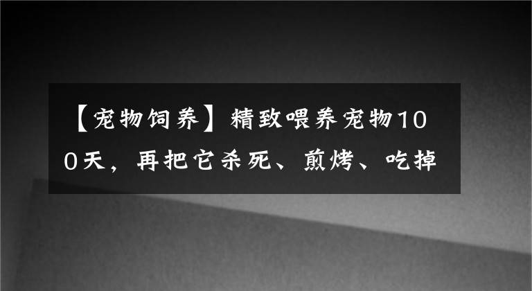 【寵物飼養(yǎng)】精致喂養(yǎng)寵物100天，再把它殺死、煎烤、吃掉…