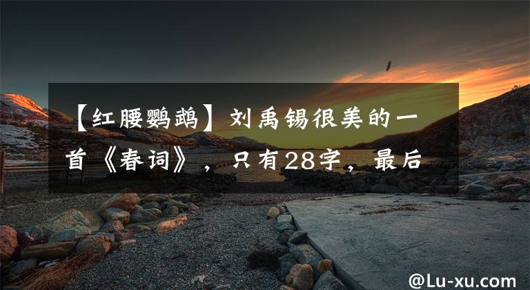 【紅腰鸚鵡】劉禹錫很美的一首《春詞》，只有28字，最后一句的“定格”驚艷