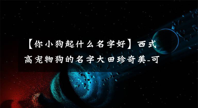 【你小狗起什么名字好】西式高寵物狗的名字大田珍奇美-可愛之處