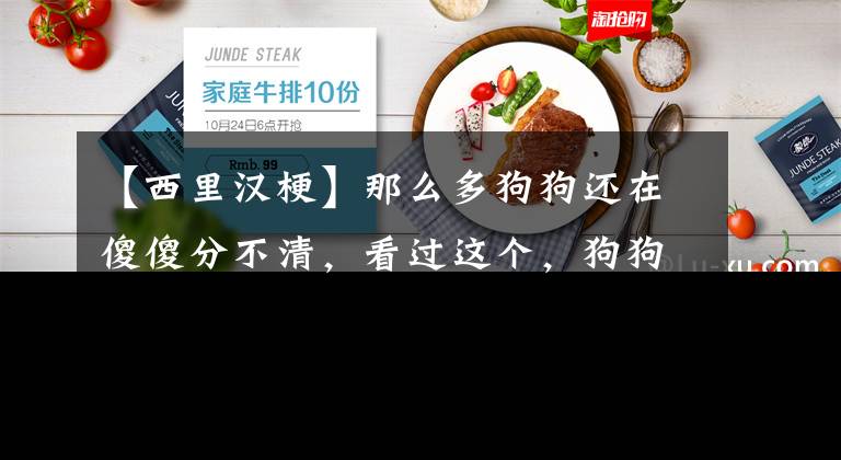 【西里漢?！磕敲炊喙饭愤€在傻傻分不清，看過這個，狗狗的品種全知道