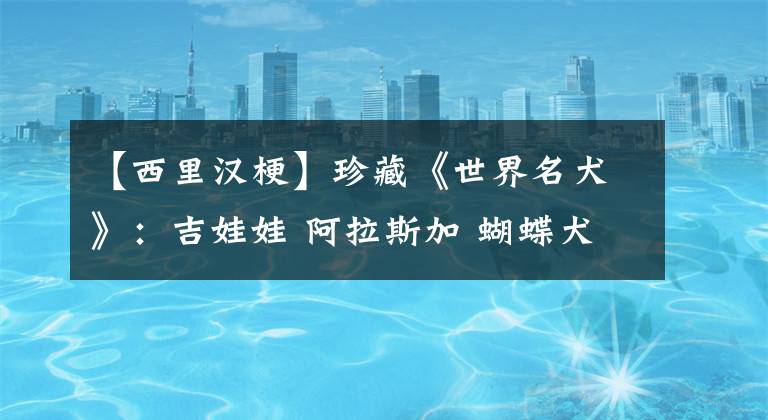 【西里漢?！空洳亍妒澜缑罚杭尥?阿拉斯加 蝴蝶犬 白色銀狐 比雄 拉布拉多，壓軸藏獒！狗狗萌翻天！附詳圖