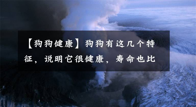 【狗狗健康】狗狗有這幾個(gè)特征，說(shuō)明它很健康，壽命也比別人家的要長(zhǎng)