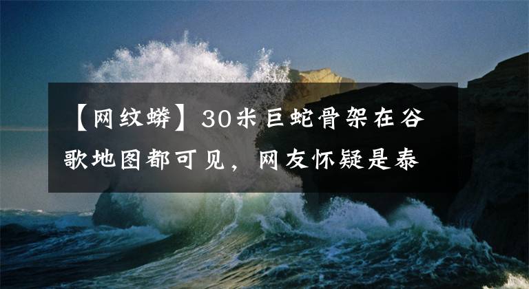 【網(wǎng)紋蟒】30米巨蛇骨架在谷歌地圖都可見(jiàn)，網(wǎng)友懷疑是泰坦蟒，真相是什么？