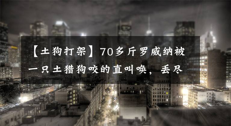 【土狗打架】70多斤羅威納被一只土獵狗咬的直叫喚，丟盡狗臉