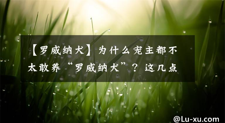 【羅威納犬】為什么寵主都不太敢養(yǎng)“羅威納犬”？這幾點(diǎn)，很多人都怕