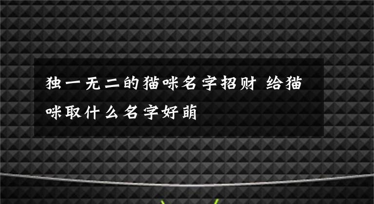 獨(dú)一無(wú)二的貓咪名字招財(cái) 給貓咪取什么名字好萌