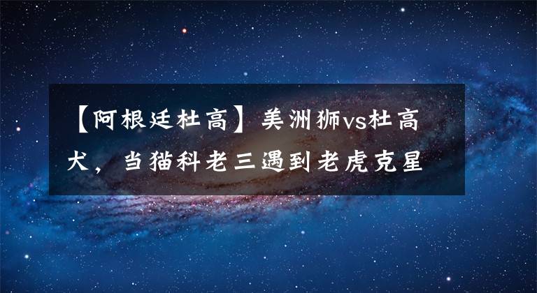 【阿根廷杜高】美洲獅vs杜高犬，當(dāng)貓科老三遇到老虎克星，誰會(huì)笑到最后？