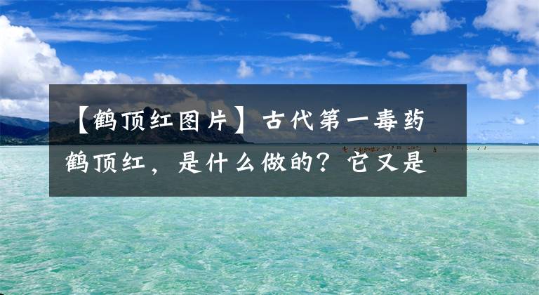 【鶴頂紅圖片】古代第一毒藥鶴頂紅，是什么做的？它又是什么呢？