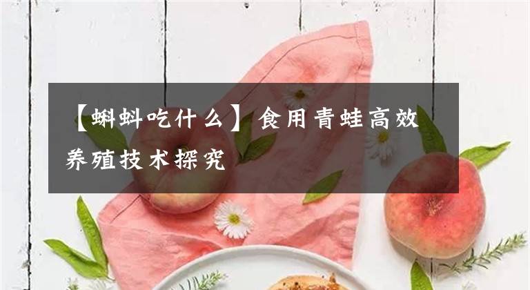 【蝌蚪吃什么】食用青蛙高效養(yǎng)殖技術(shù)探究