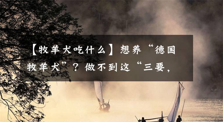 【牧羊犬吃什么】想養(yǎng)“德國牧羊犬”？做不到這“三要，三不要”，你就放棄吧！