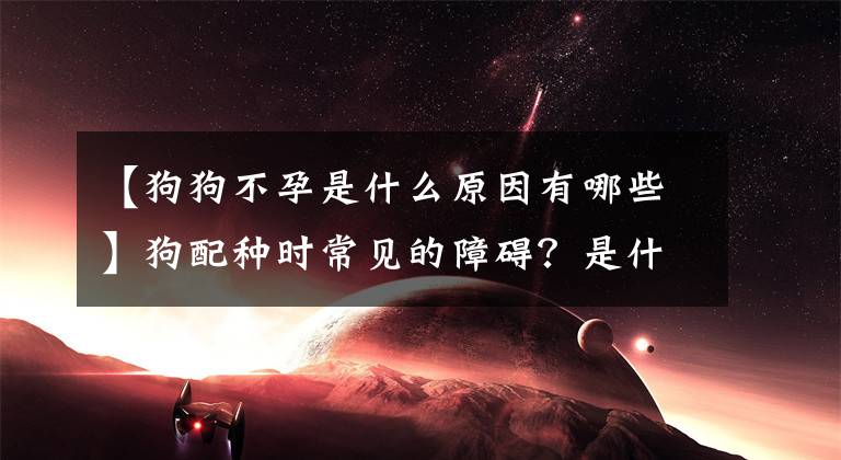 【狗狗不孕是什么原因有哪些】狗配種時(shí)常見的障礙？是什么原因？