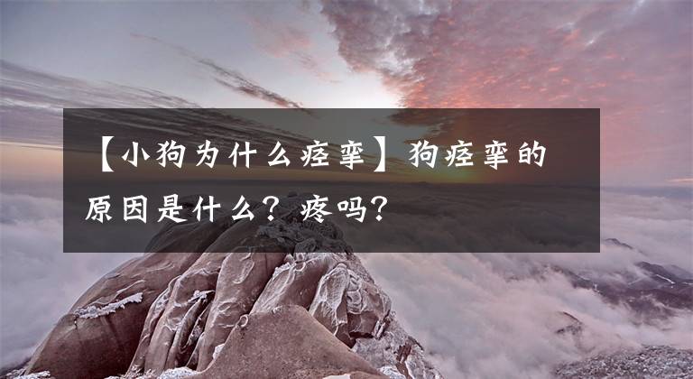 【小狗為什么痙攣】狗痙攣的原因是什么？疼嗎？