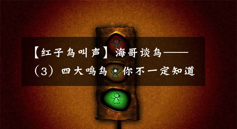 【紅子鳥叫聲】海哥談鳥——（3）四大鳴鳥?你不一定知道的故事