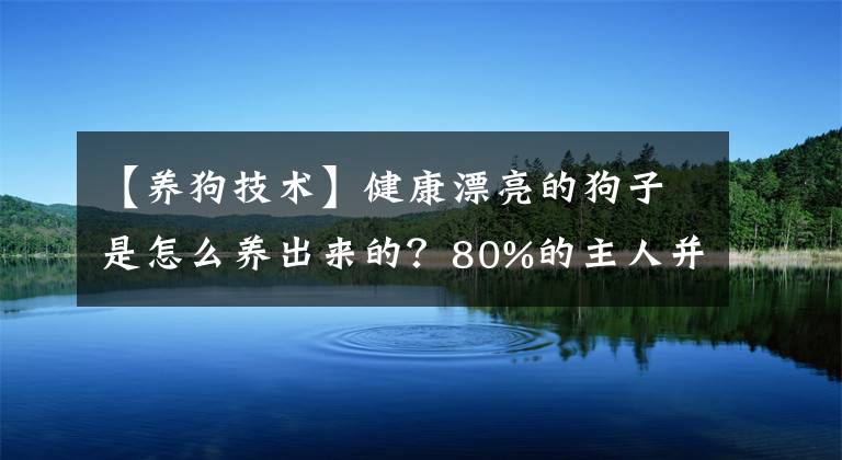 【養(yǎng)狗技術(shù)】健康漂亮的狗子是怎么養(yǎng)出來的？80%的主人并不知道