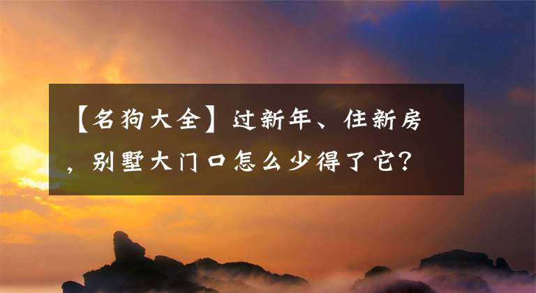 【名狗大全】過新年、住新房，別墅大門口怎么少得了它？200幅狗年春聯(lián)大匯總