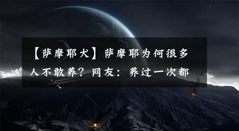 【薩摩耶犬】薩摩耶為何很多人不敢養(yǎng)？網(wǎng)友：養(yǎng)過一次都怕了