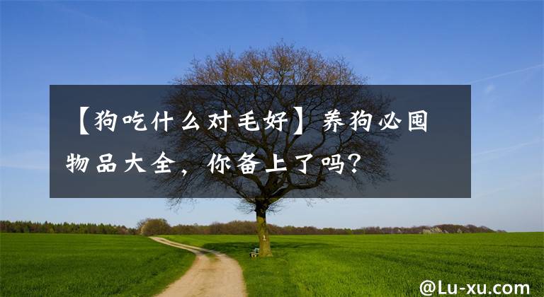 【狗吃什么對(duì)毛好】養(yǎng)狗必囤物品大全，你備上了嗎？