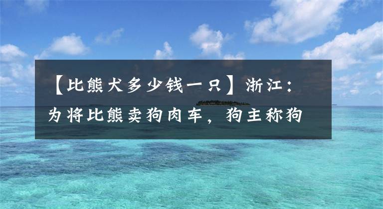 【比熊犬多少錢一只】浙江：為將比熊賣狗肉車，狗主稱狗已死，小姐姐：原來它這么好看