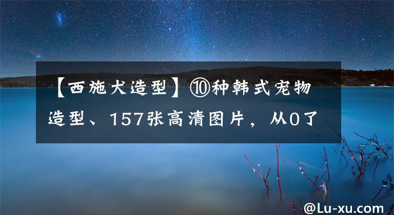 【西施犬造型】⑩種韓式寵物造型、157張高清圖片，從0了解韓式寵物造型剪法