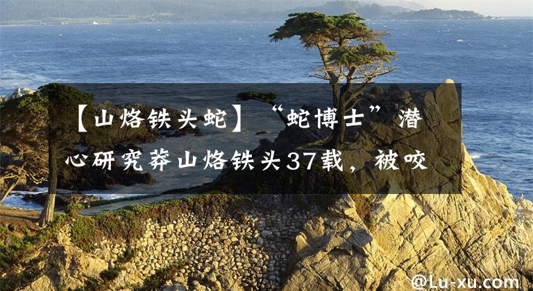 【山烙鐵頭蛇】“蛇博士”潛心研究莽山烙鐵頭37載，被咬9次九死一生，助農(nóng)致富