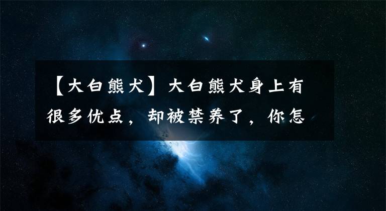 【大白熊犬】大白熊犬身上有很多優(yōu)點，卻被禁養(yǎng)了，你怎么看待？