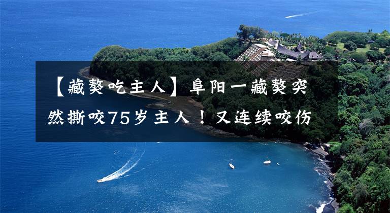 【藏獒吃主人】阜陽一藏獒突然撕咬75歲主人！又連續(xù)咬傷其他4人！被現(xiàn)場擊斃