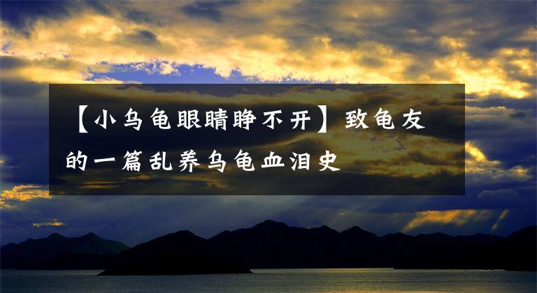 【小烏龜眼睛睜不開】致龜友的一篇亂養(yǎng)烏龜血淚史