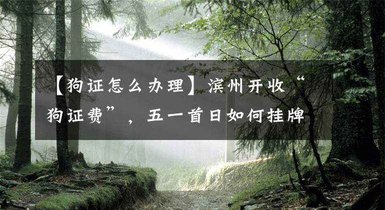 【狗證怎么辦理】濱州開收“狗證費(fèi)”，五一首日如何掛牌？去哪掛？附詳細(xì)流程