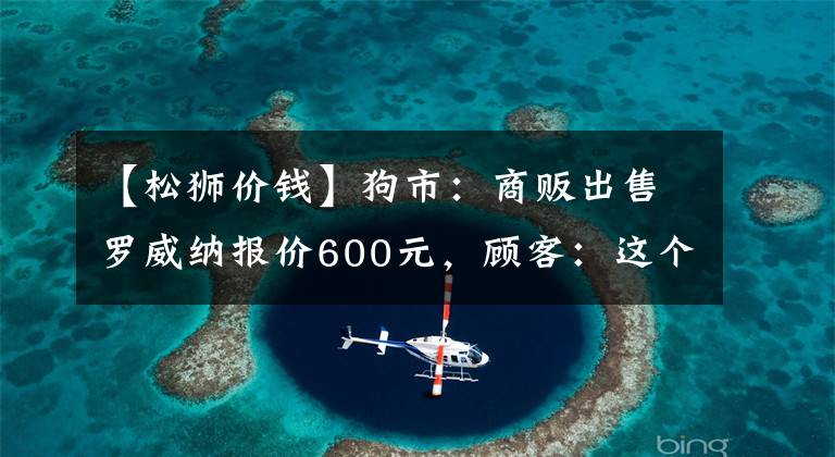 【松獅價錢】狗市：商販出售羅威納報價600元，顧客：這個價我還不如買馬犬！