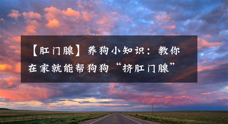 【肛門腺】養(yǎng)狗小知識：教你在家就能幫狗狗“擠肛門腺”！