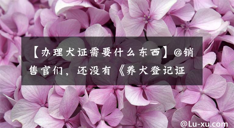 【辦理犬證需要什么東西】@銷售官們，還沒有《養(yǎng)犬登記證》嗎？攻略在這里