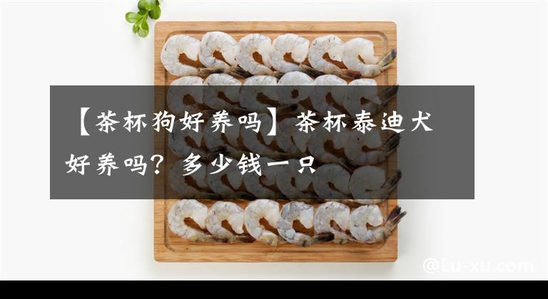 【茶杯狗好養(yǎng)嗎】茶杯泰迪犬好養(yǎng)嗎？多少錢一只