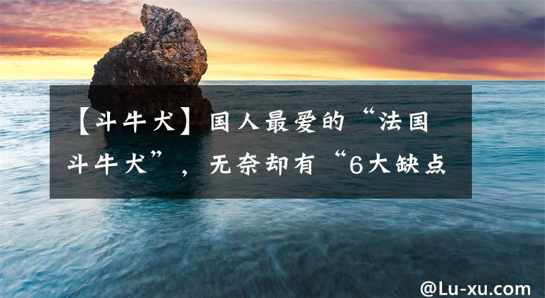 【斗牛犬】國(guó)人最?lèi)?ài)的“法國(guó)斗牛犬”，無(wú)奈卻有“6大缺點(diǎn)”