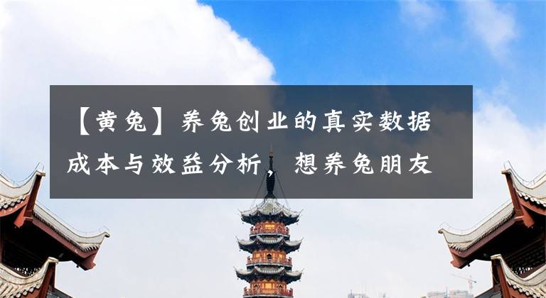 【黃兔】養(yǎng)兔創(chuàng)業(yè)的真實數(shù)據(jù)成本與效益分析，想養(yǎng)兔朋友可以借鑒一下